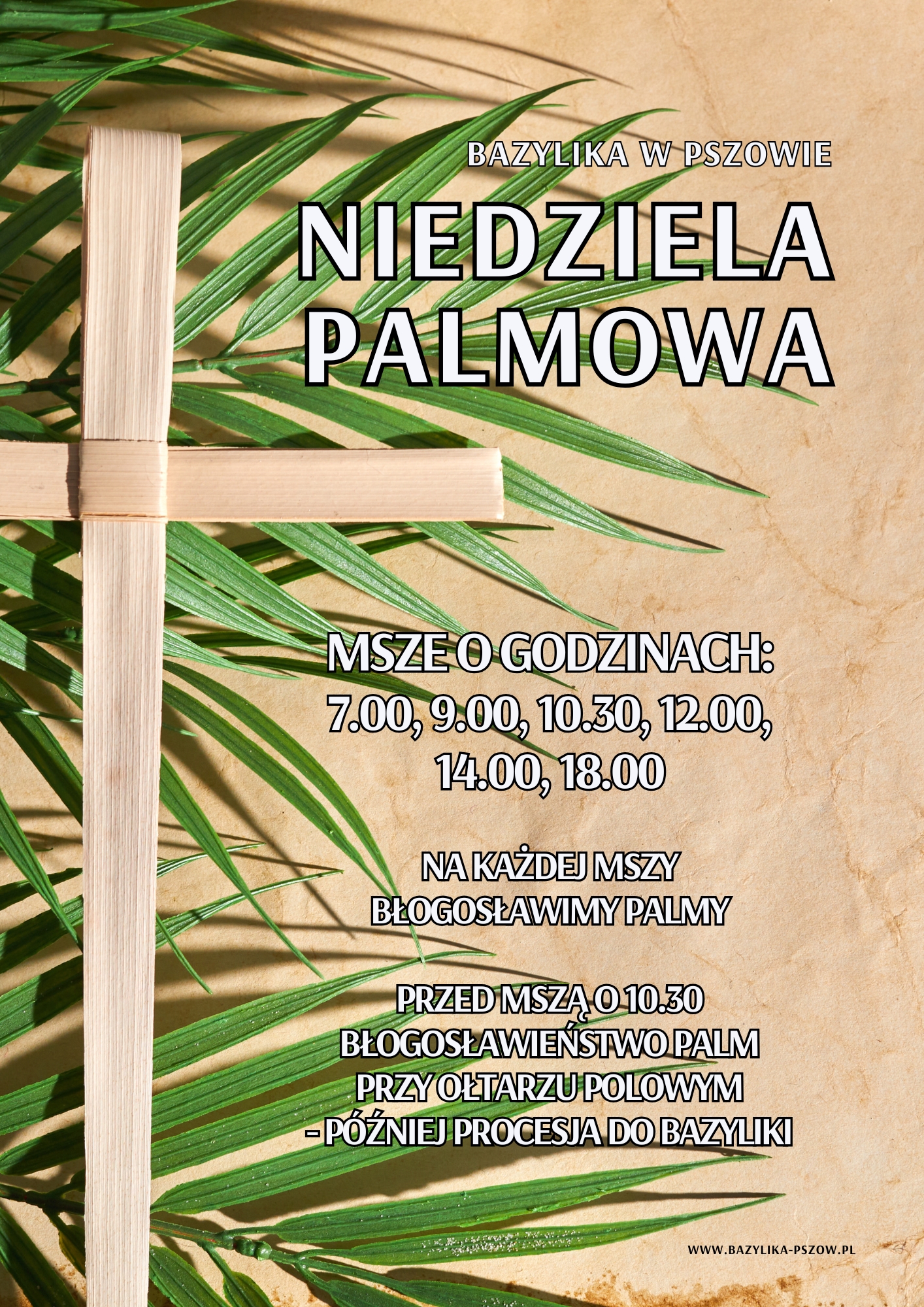 Read more about the article NIEDZIELA PALMOWA – 13 KWIETNIA 2025 R.